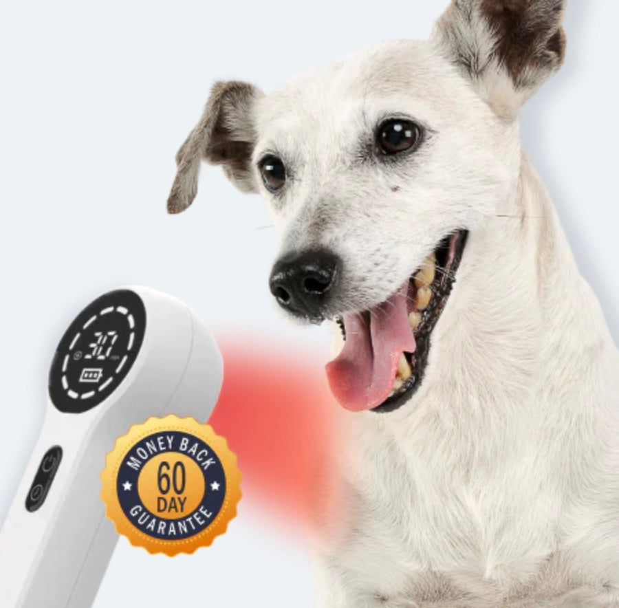 K9 Laser ⎹ Red Light Therapy for Pain Relief and Injury Recovery